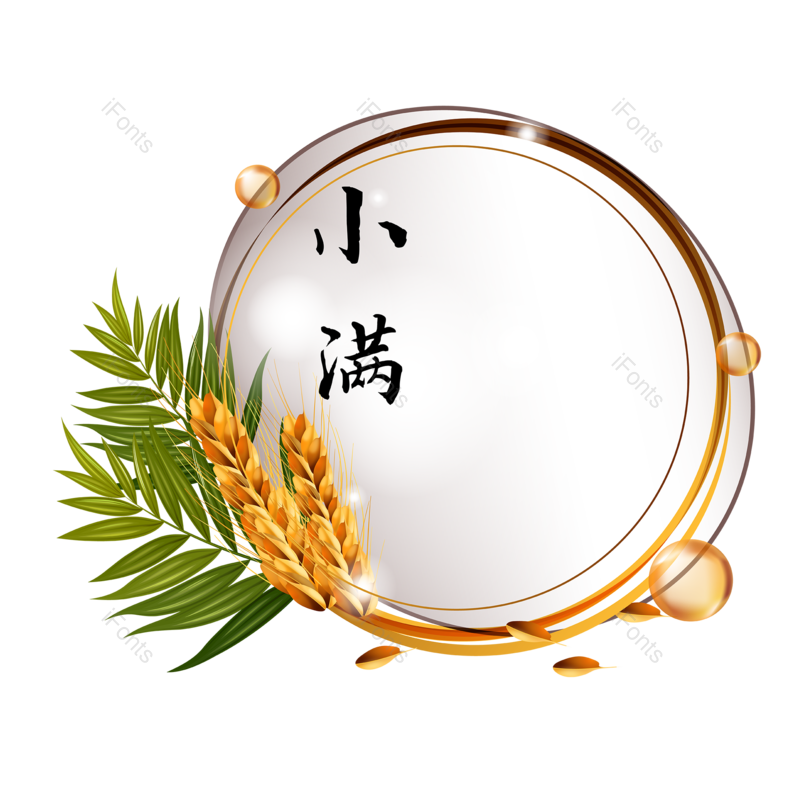 边框图片,标签元素,小满PNG,树叶免抠素材